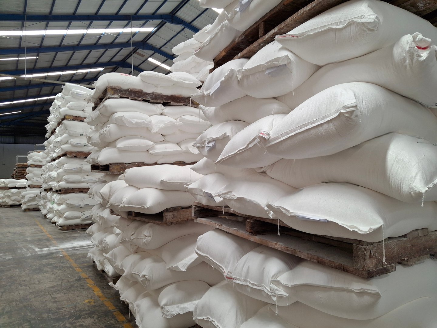 food warehouse, piles of sacks containing food ingredients arranged on pallets in the raw material warehouse area, raw material warehouse in a food factory