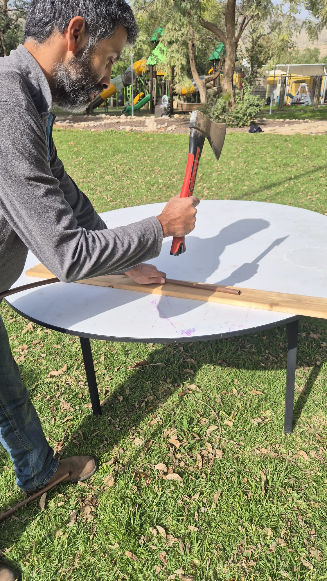 רגע מהאולימפיאדה