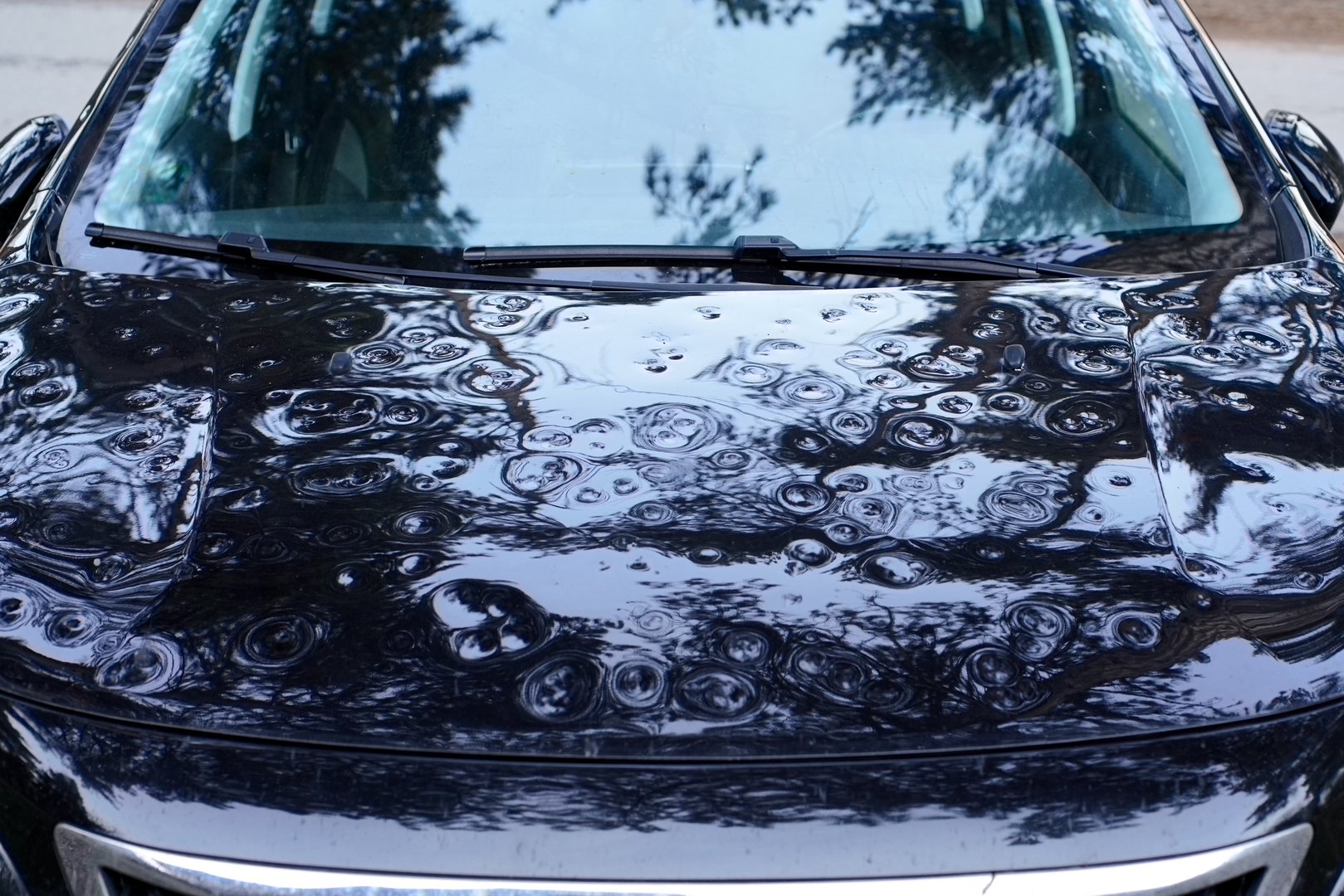Close-up of a car hood with numerous dents caused by hail or falling debris. The reflective surface shows trees and the sky. Damage is visible across the entire area.