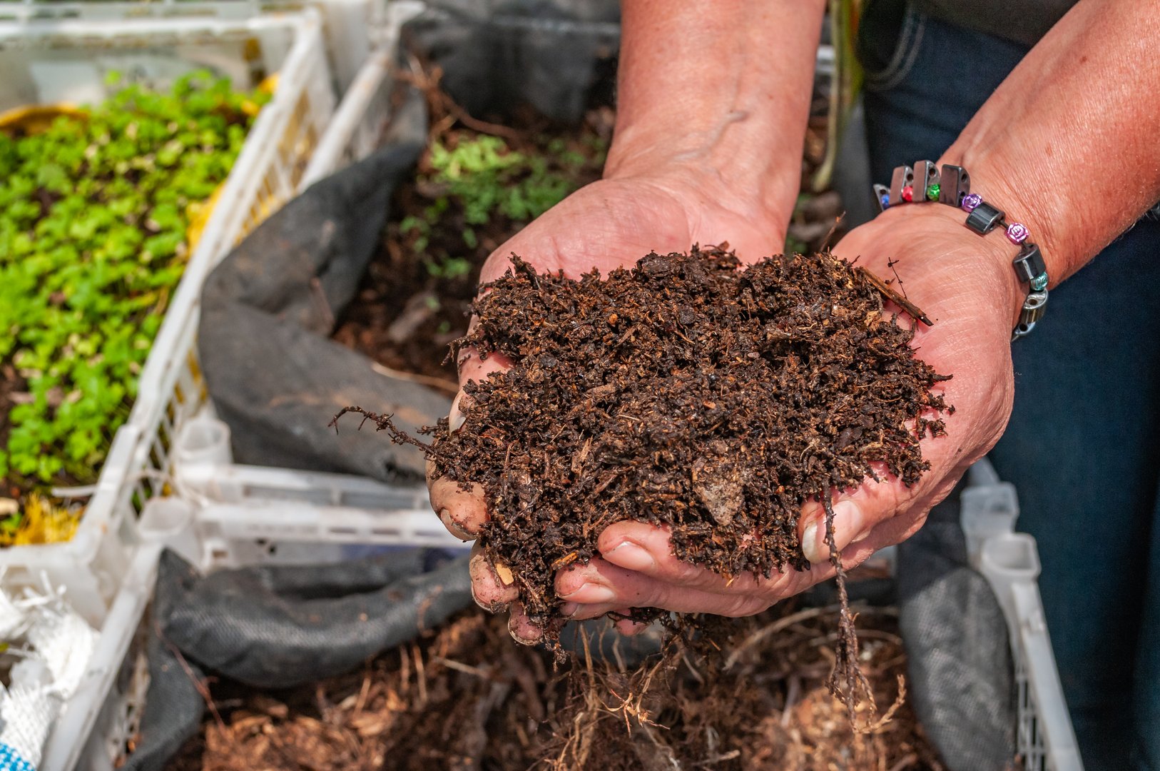 Organic garden farming and holding soil