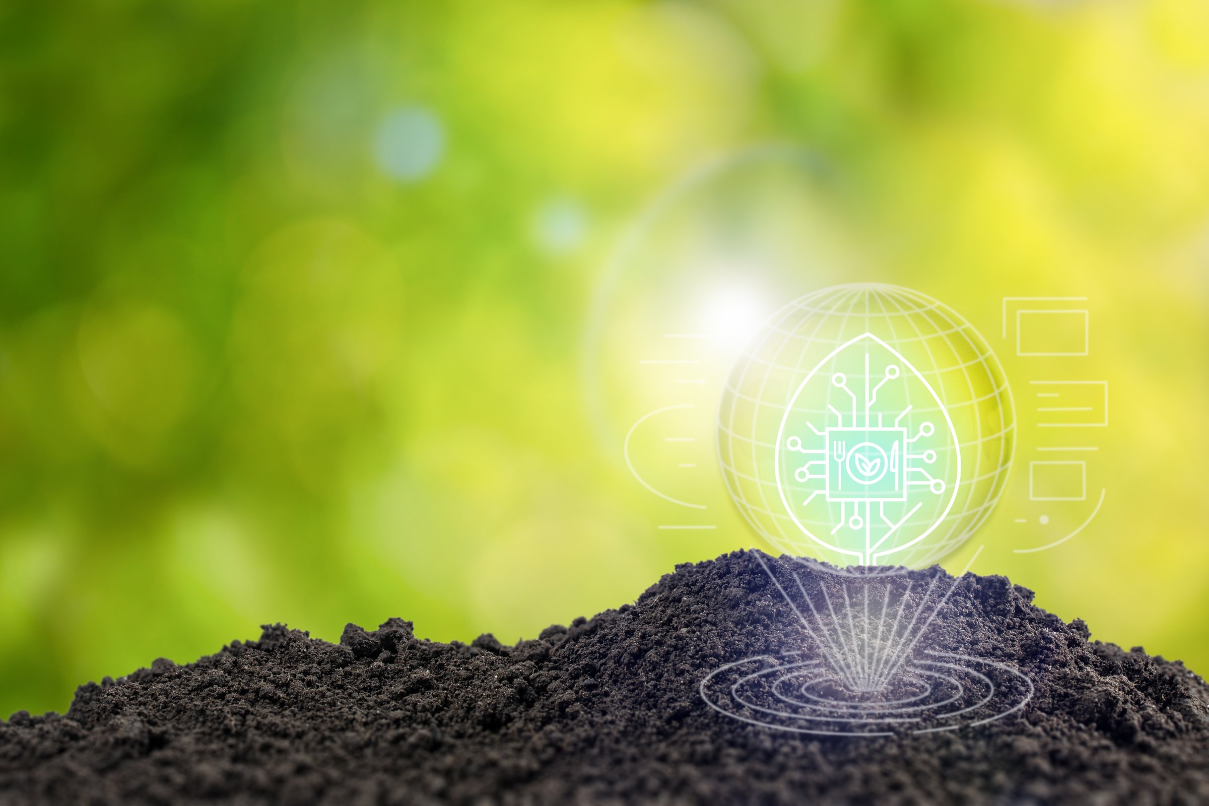 Artificial intelligence technology in agriculture for sustainable food production concept. Foodtech, food technology.