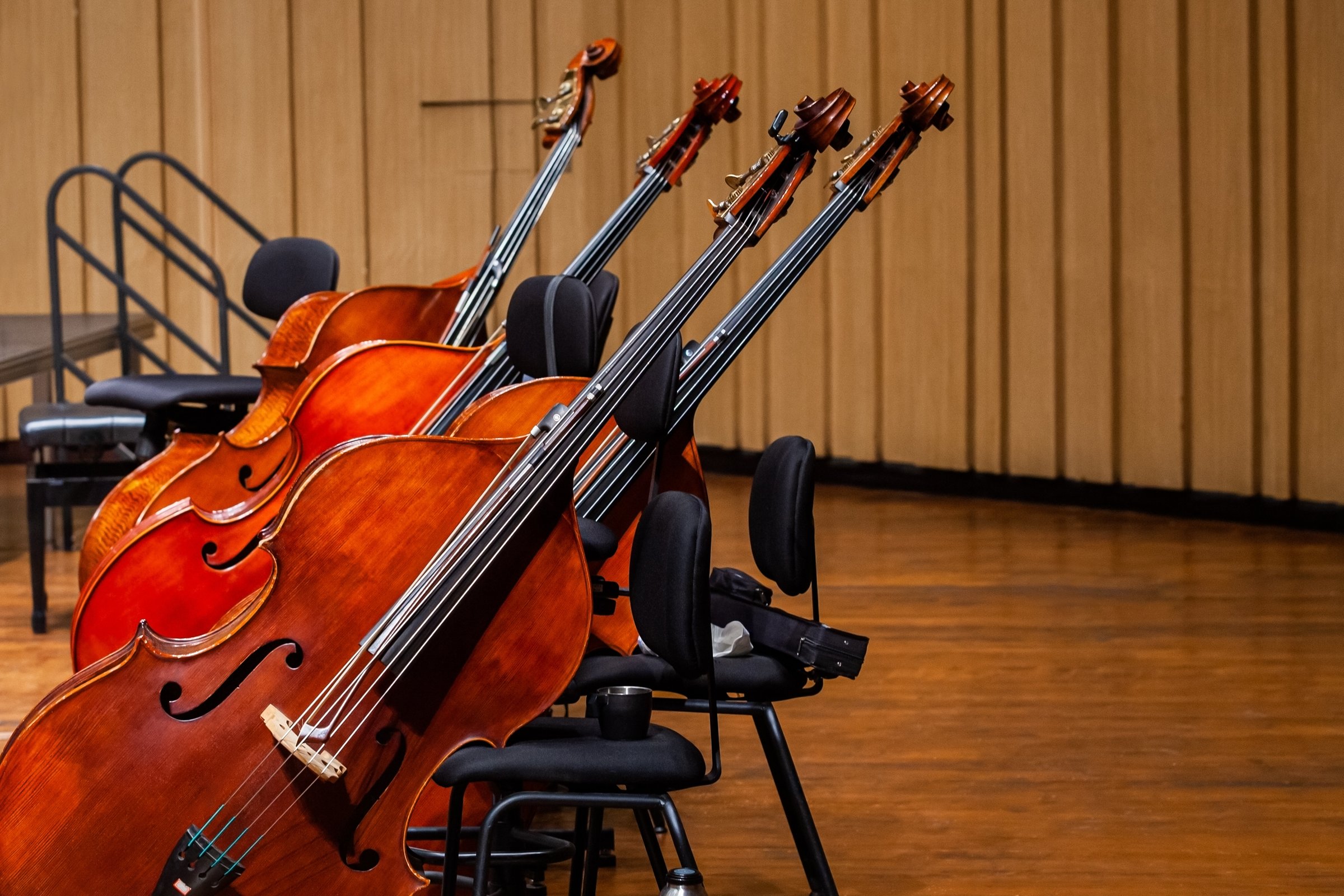 Double basses standing on stage