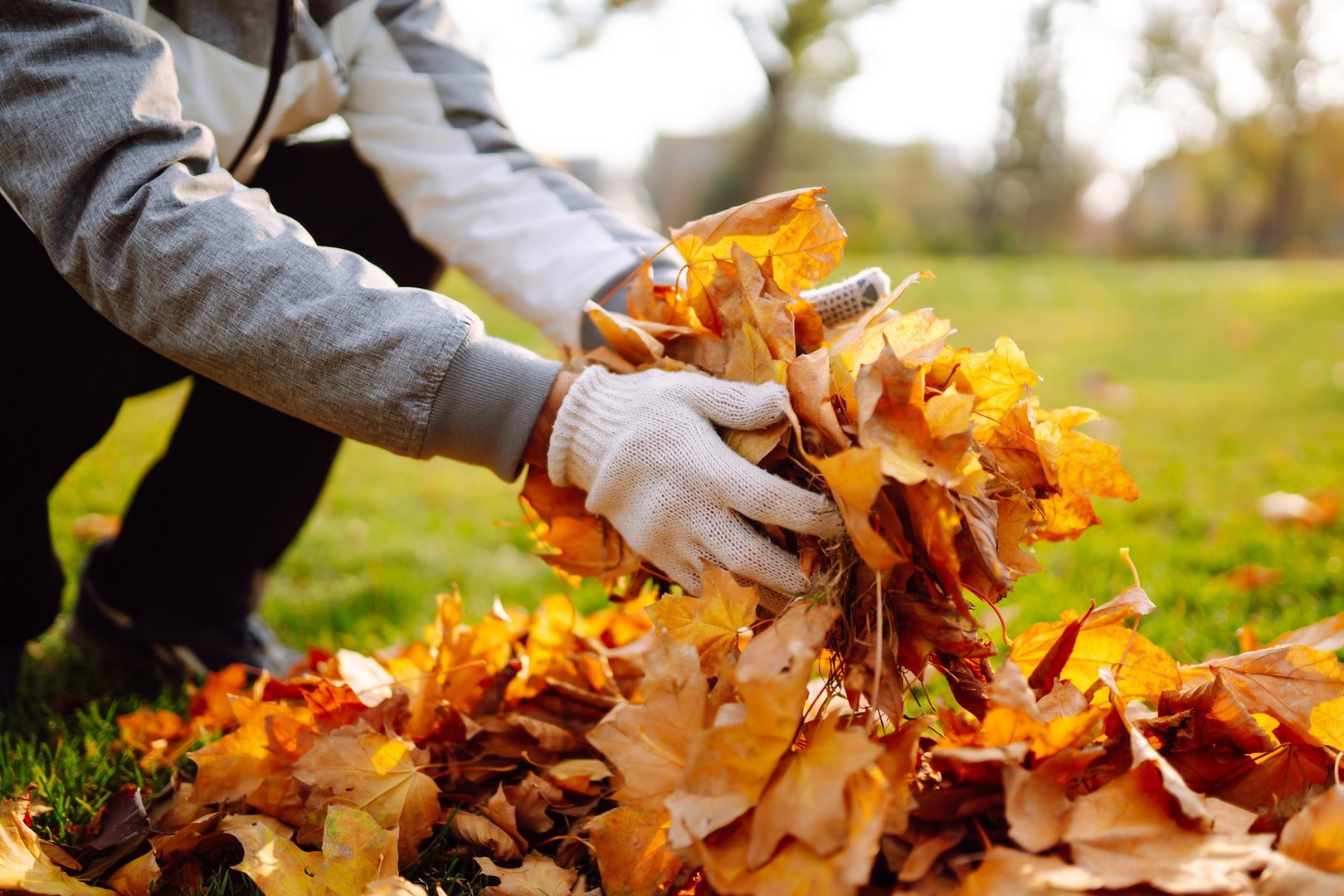 Man cleans the autumn park from yellow leaves. Volunteering, cleaning, and ecology concept. Seasonal gardening.