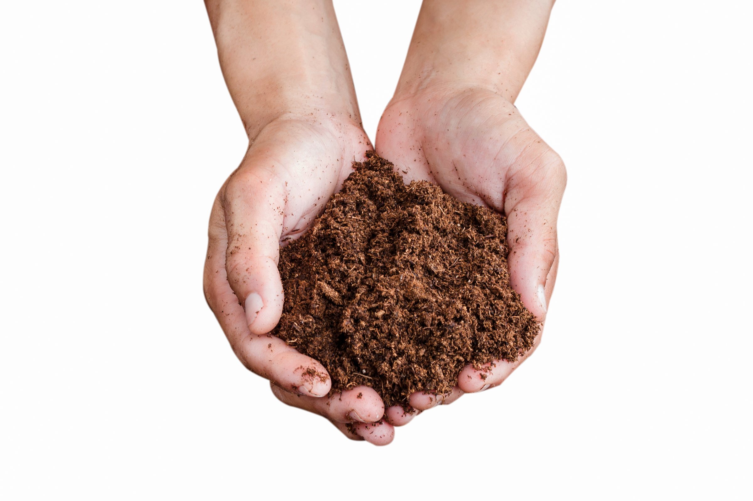 Two hands holding a small pile of rich, brown soil against a white background.