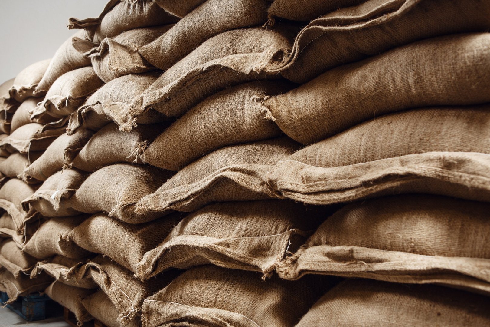 Warehouse is filled with neatly stacked jute bags, all packed with fresh green coffee beans, awaiting processing for roasting and sale.
