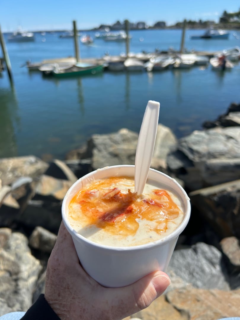 Clam chowder with chunks of lobster meat