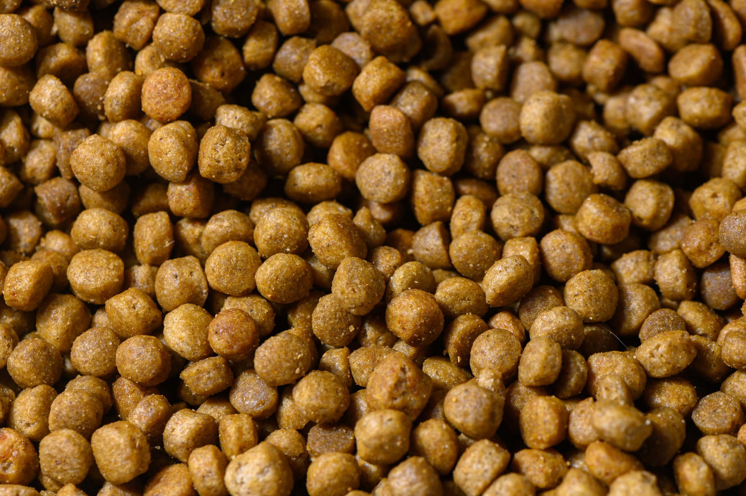 Close-up view of pet food pellets showcasing their rich color and textured surface for animal nutrition.