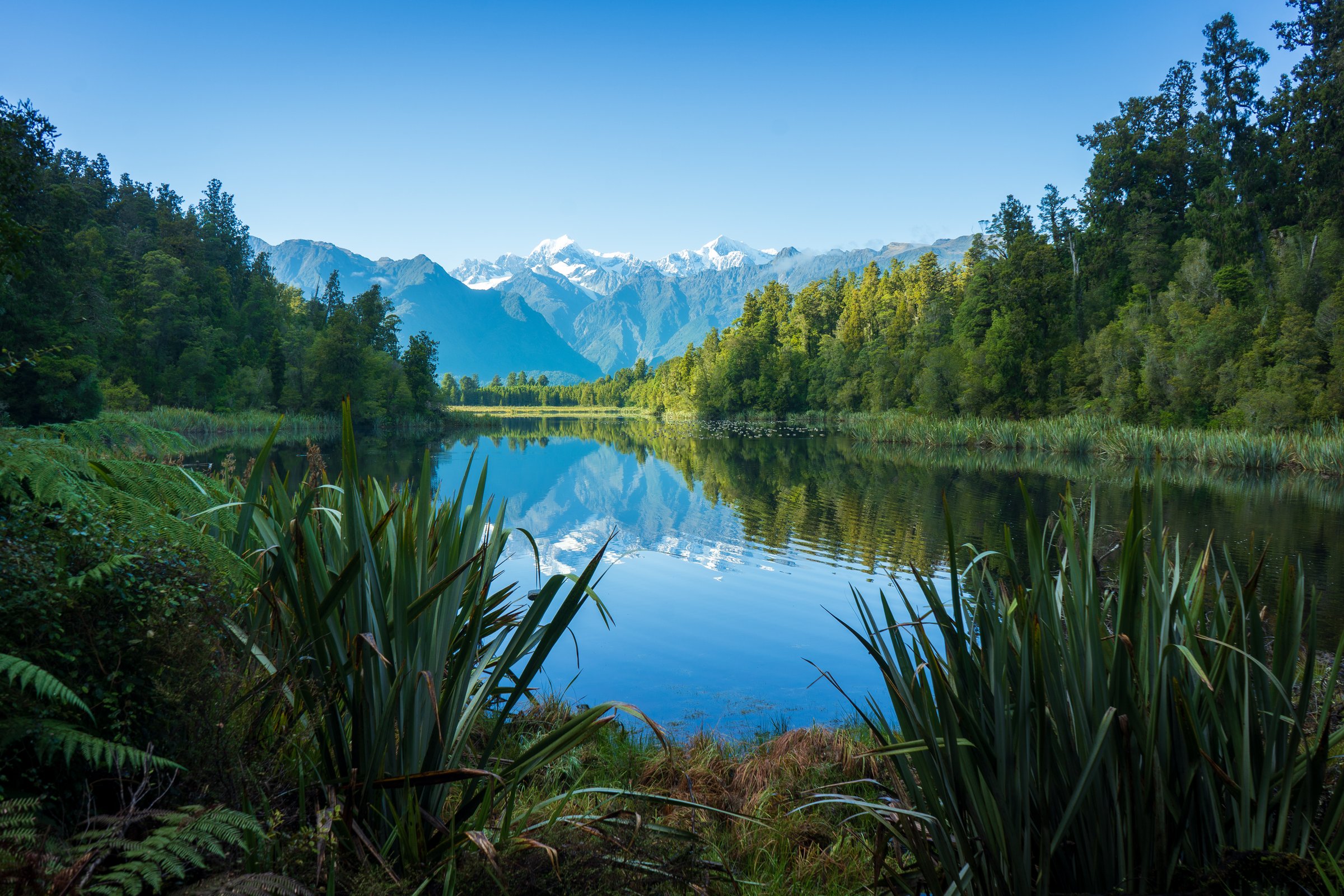 New Zealand's Hidden Gems