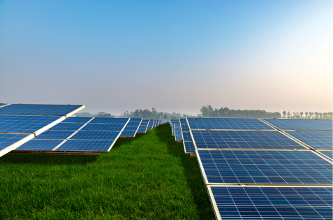 Rows of solar panels on green grass with a clear sky and horizon in the background.