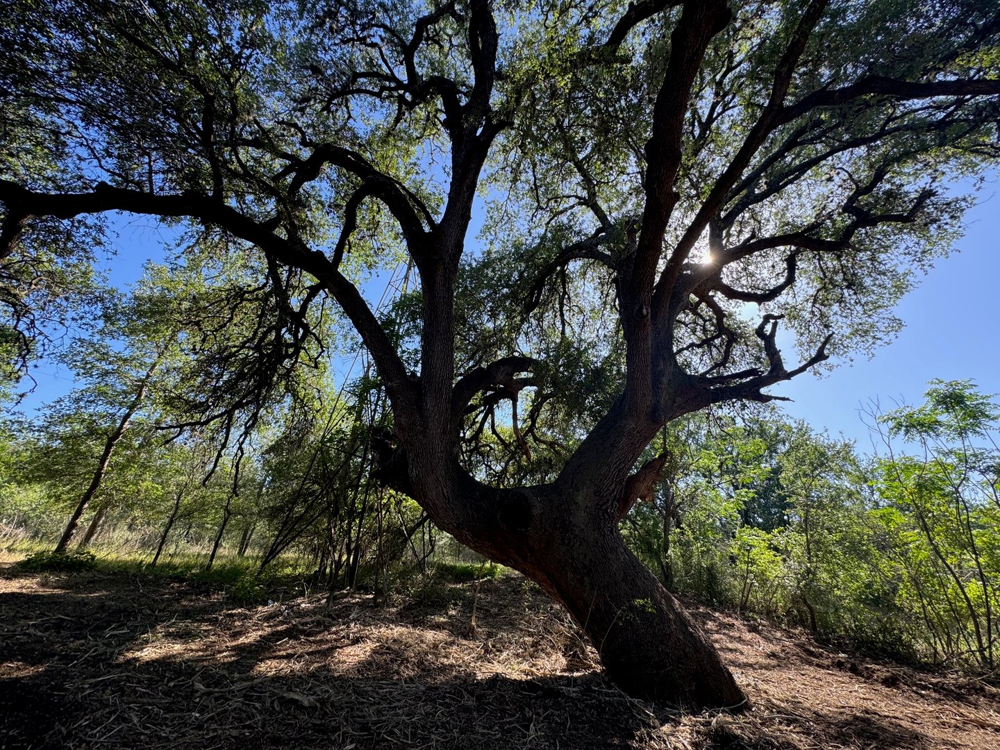 Premium property project