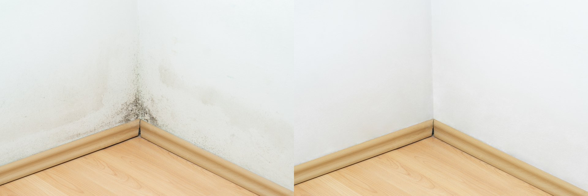 Mold in the corner of a wall above the laminate flooring, photos before and after cleaning
Comparative Before and after black mold dirty wall and clean white wall