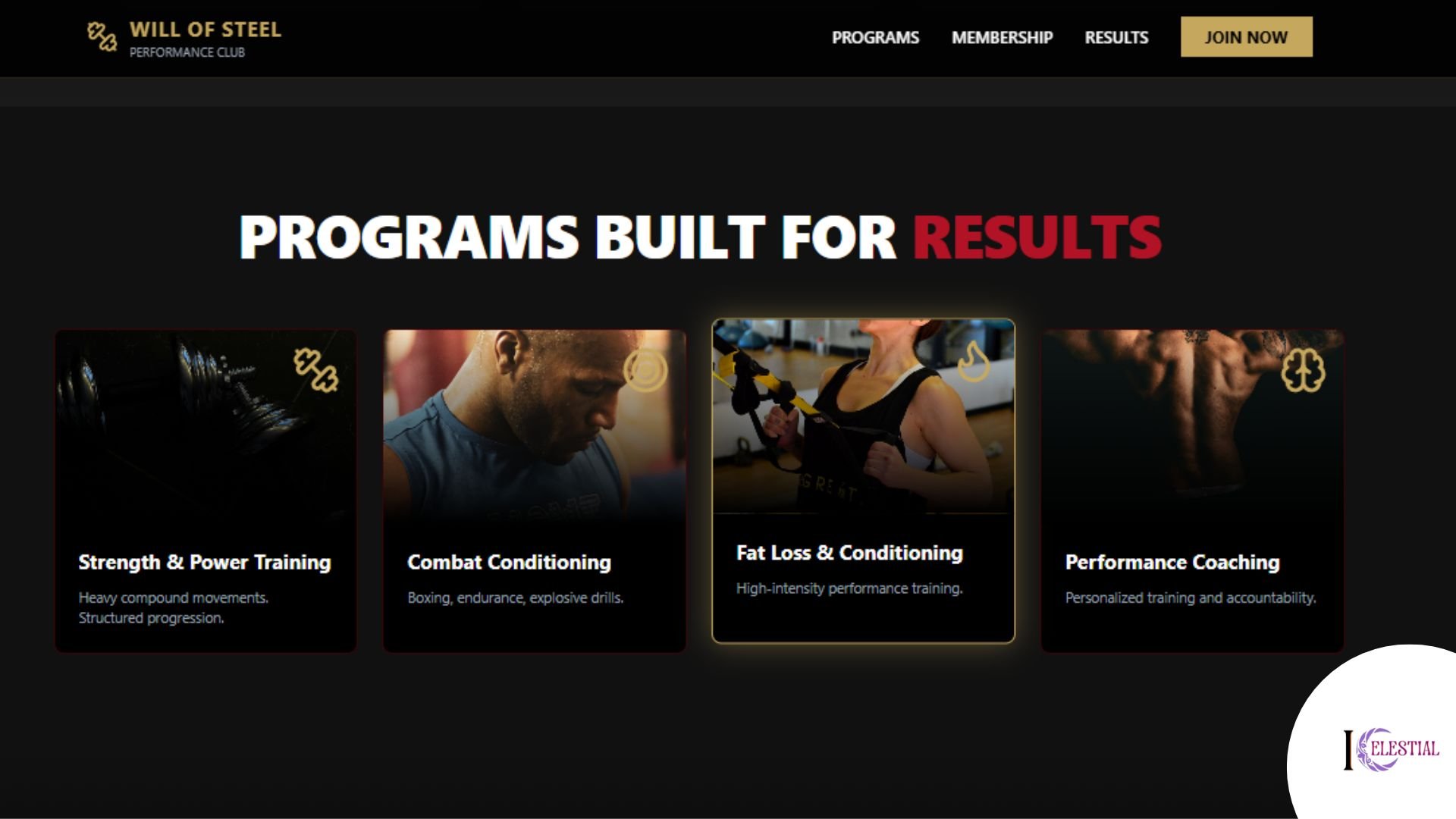 Will of Steel Performance Club Website Screenshot 2