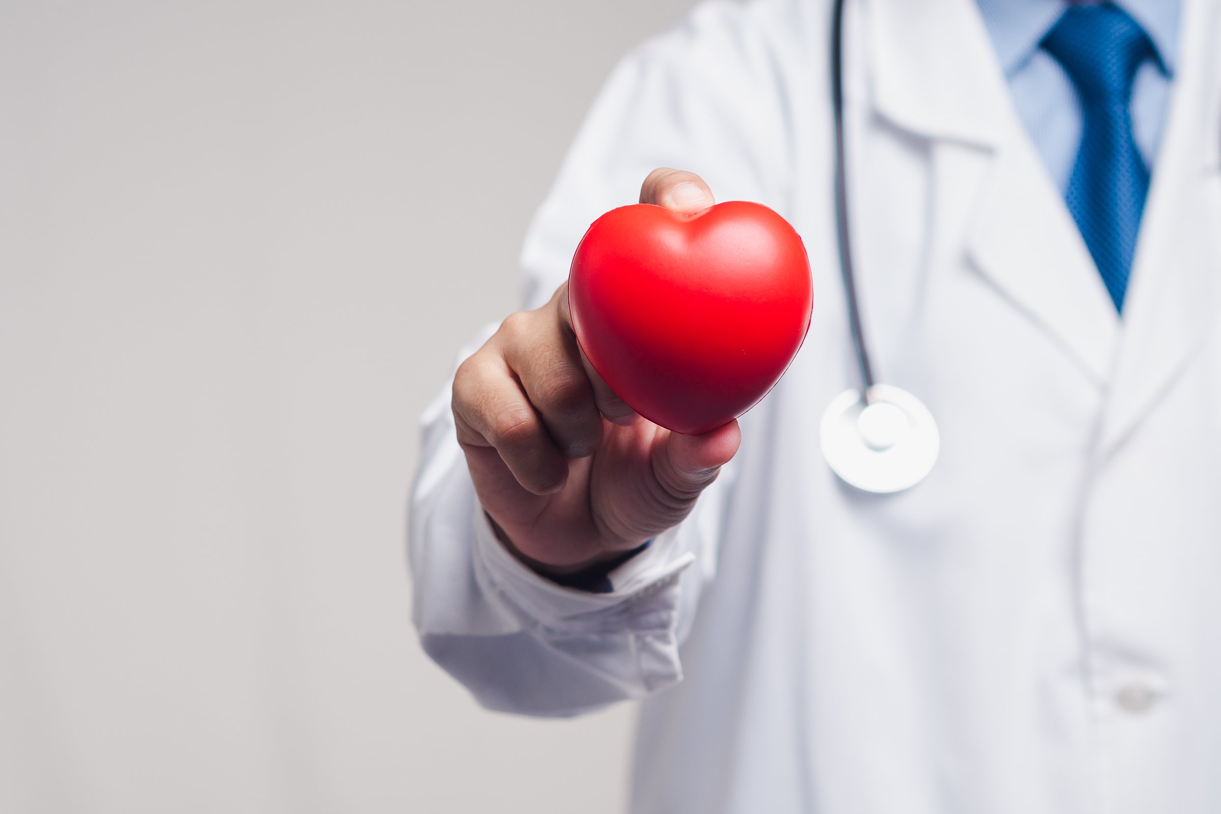 Close-up of a doctor holding a red heart model, symbolizing heart care, cardiology, and medical support for cardiovascular health and disease prevention.