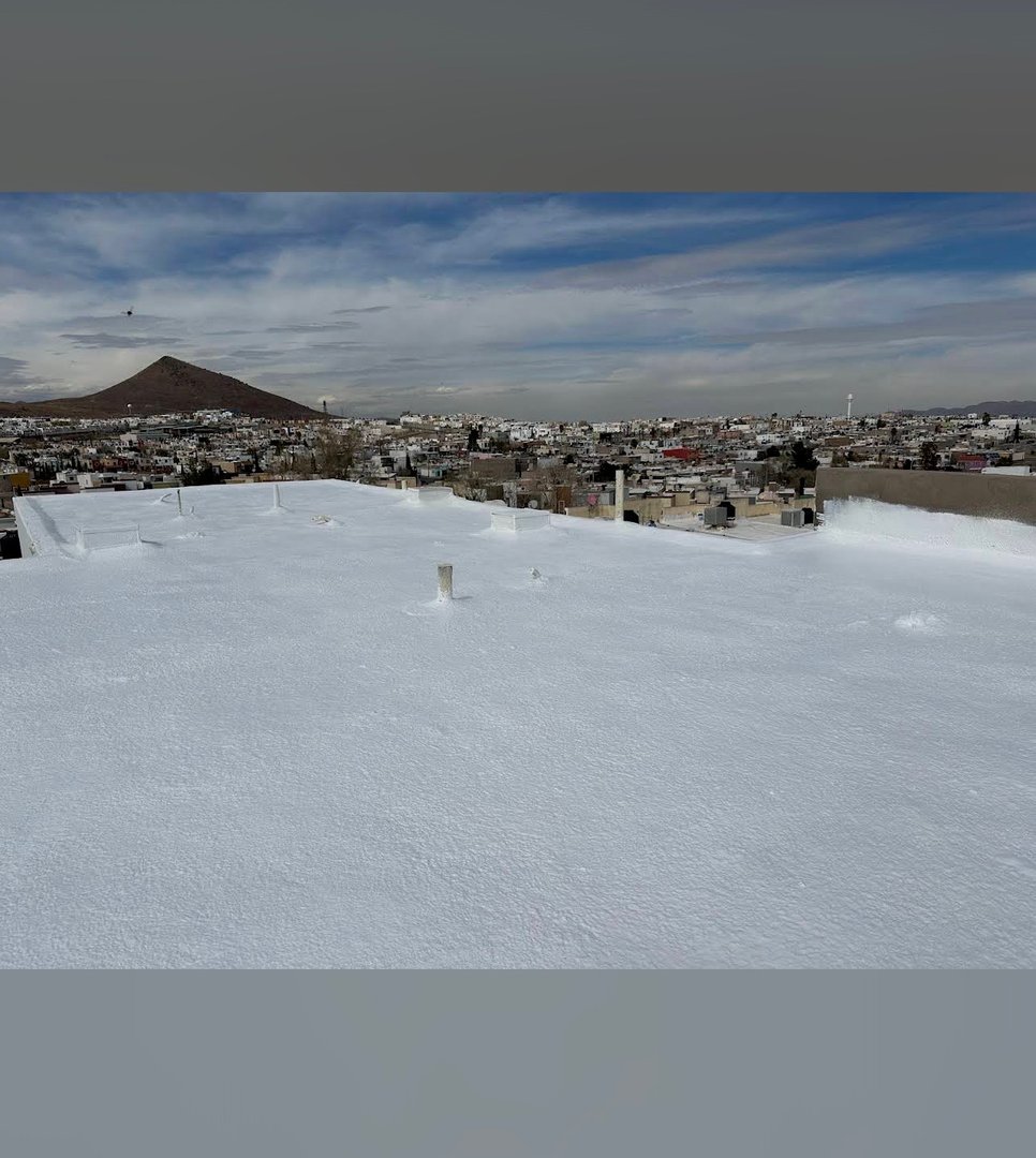 Aplicación profesional de poliuretano espreado