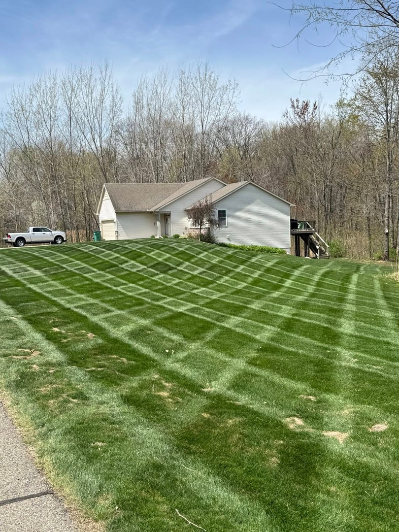 Beautifully maintained lawn by Zdubs