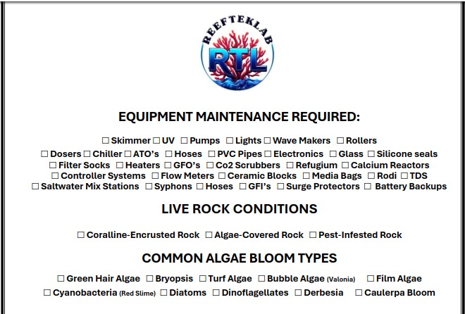Reef Tank Journal Clip 2