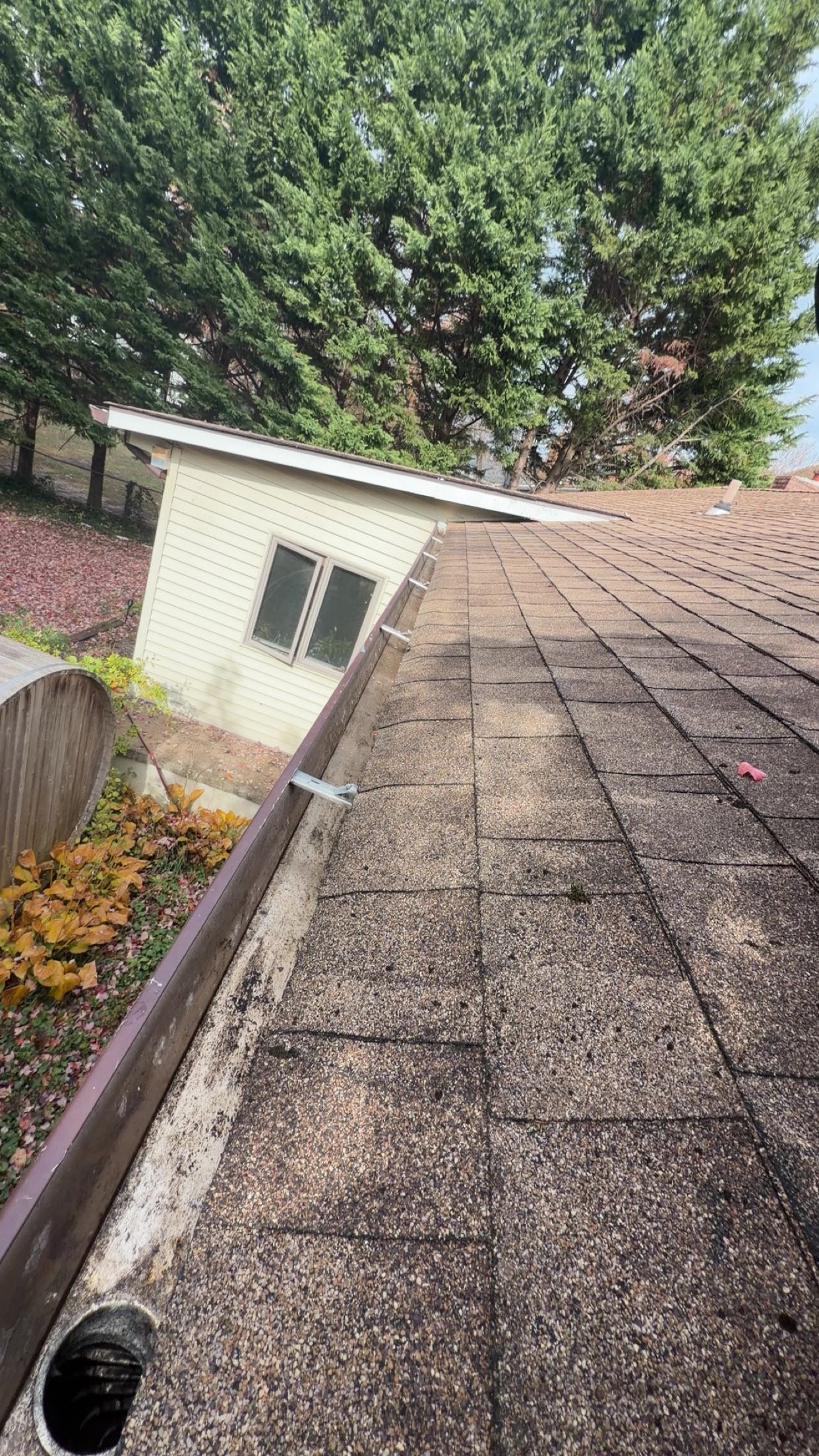 Gutter cleaning service