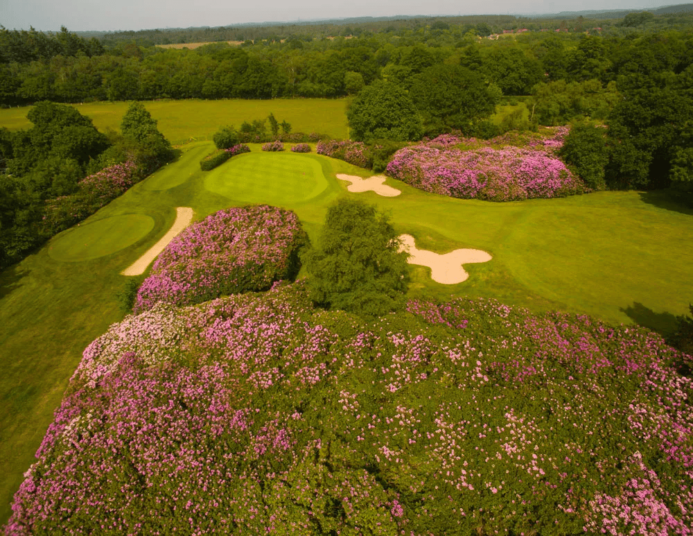 The Dorset Golf & Country Club 7th hole championship golf course