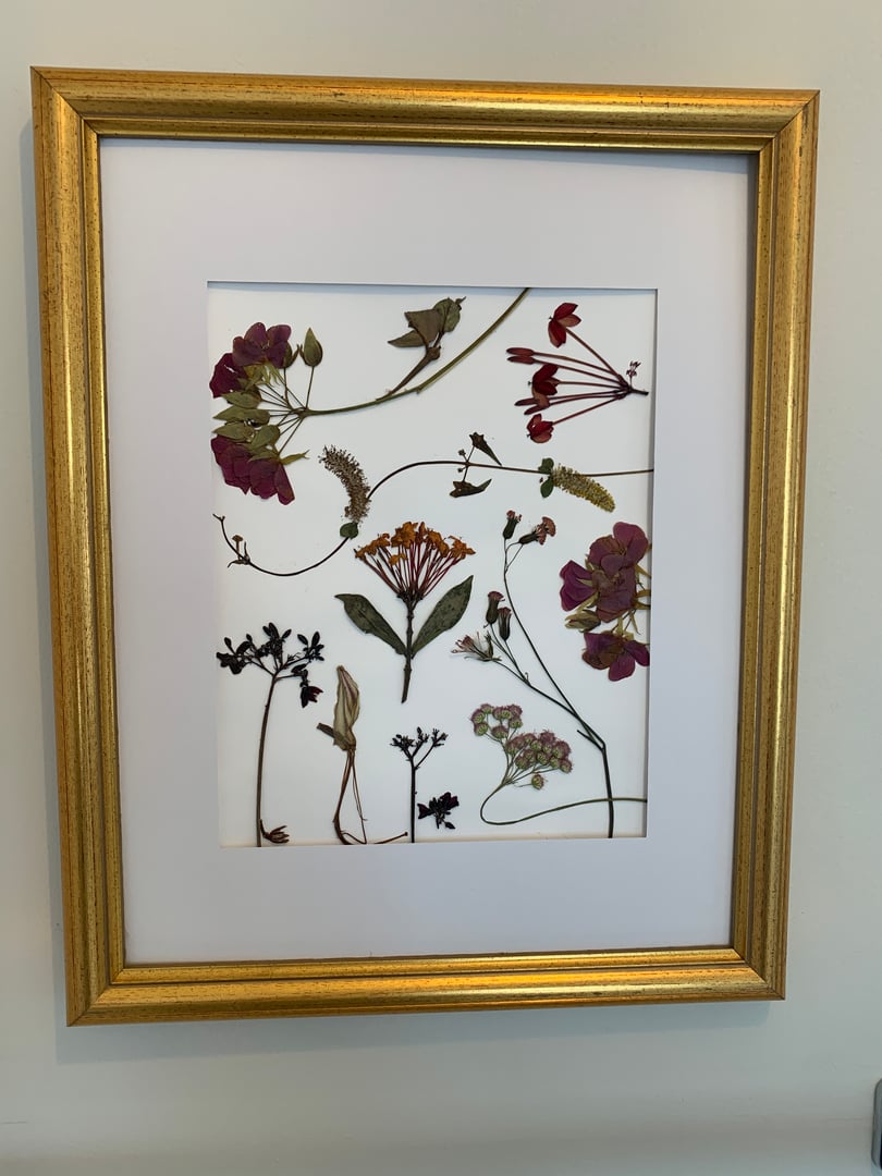 Pressed Flower Artwork Collection