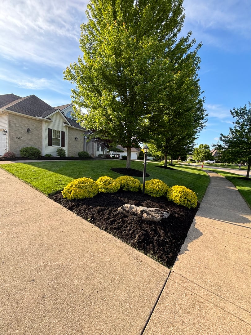 Yellow Jacket Landscaping work showcase