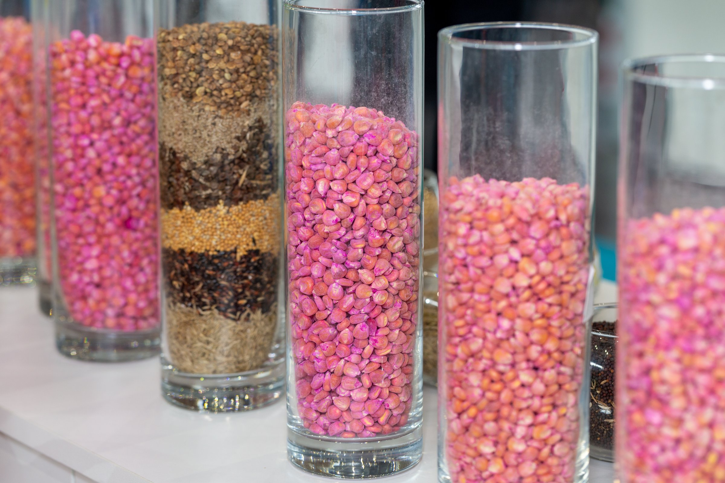 Multicolored seeds in a glass vase. High quality photo