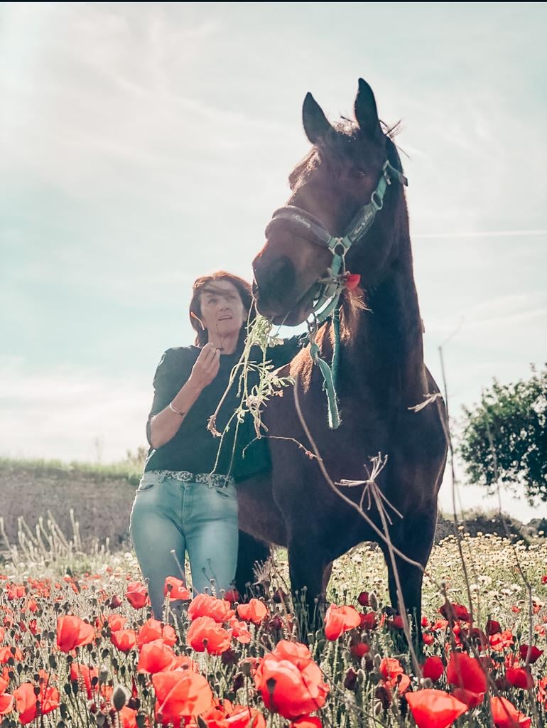 Woman standing with a brown horse in a field of red poppies under a clear sky.