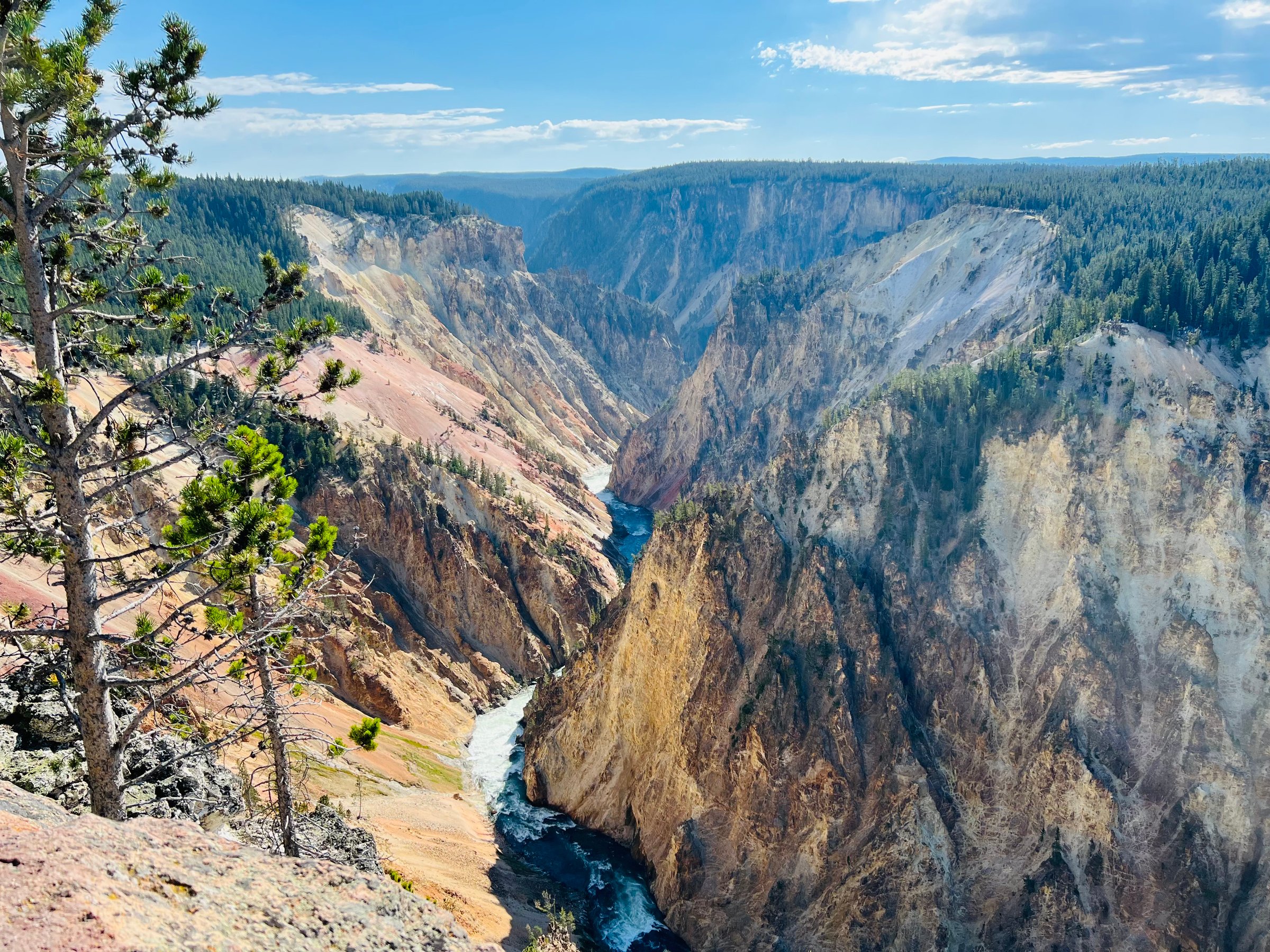 View of the Grand Canyon of the Yellowstone with a river flowing through steep, colorful cliffs under a clear blue sky.