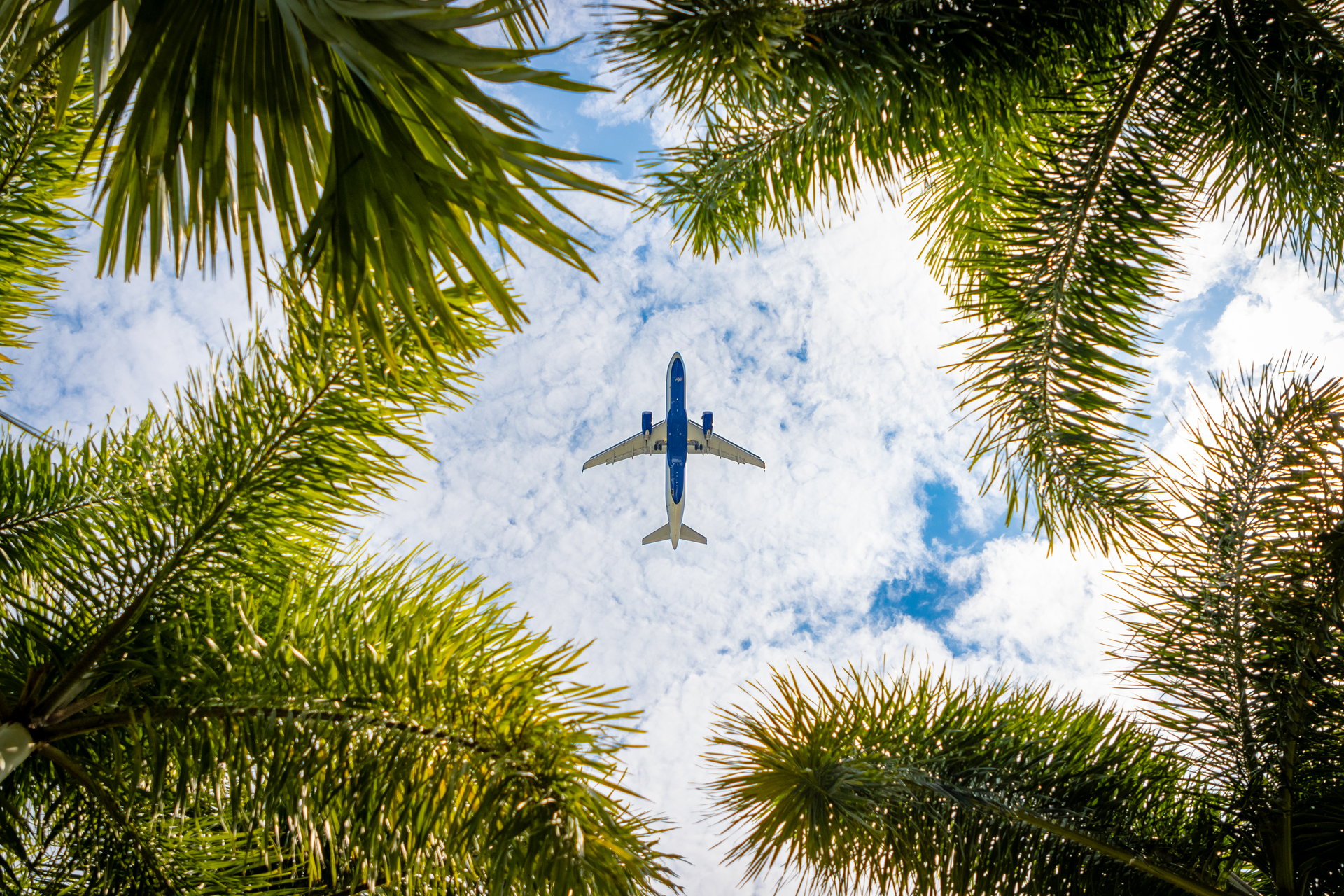 Airplane flying to tropical destination