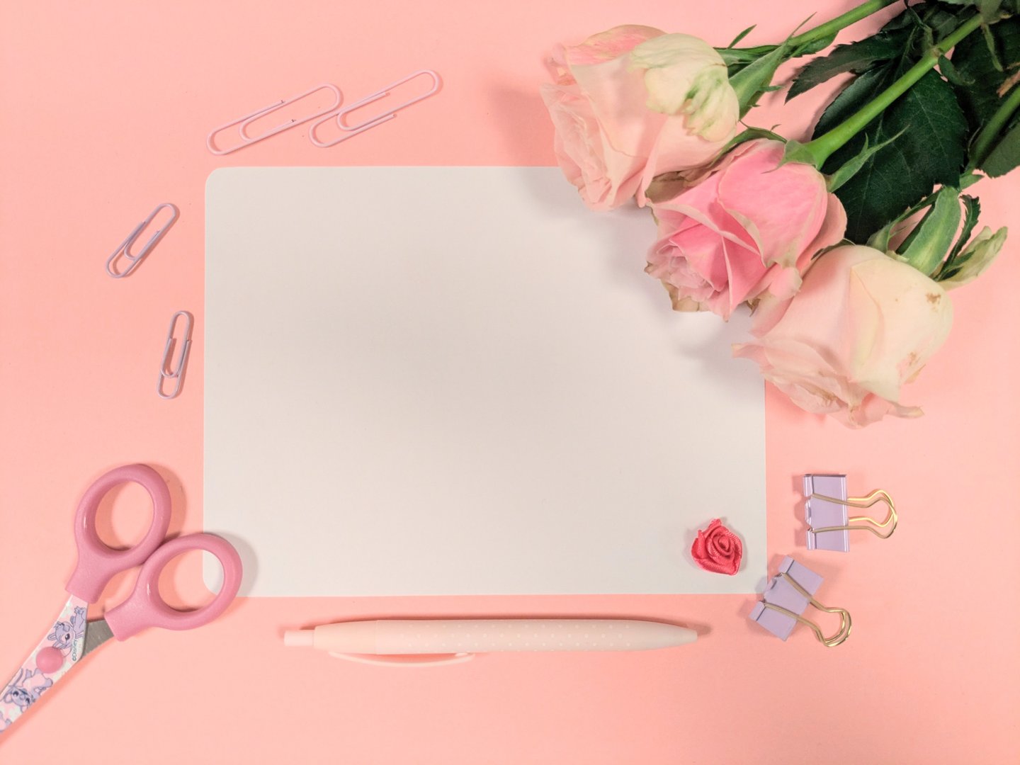 On a horizontal pink background, there's space for text. Along the outline are pink scissors, a bouquet of roses, a ballpoint pen, and paper clips. High quality photo