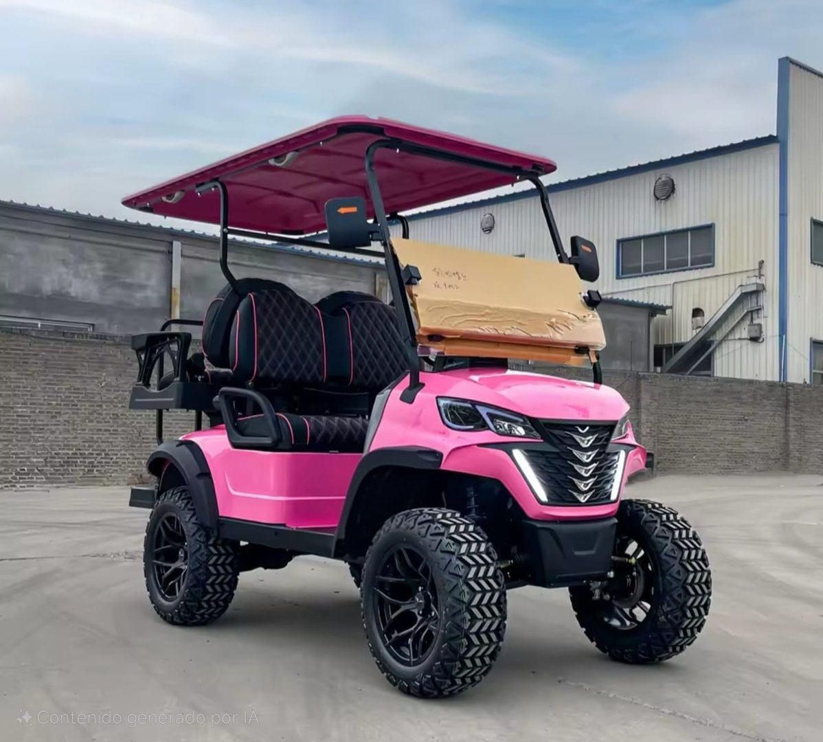 Zhianj Golf Todo Terreno - Interior y asientos cómodos