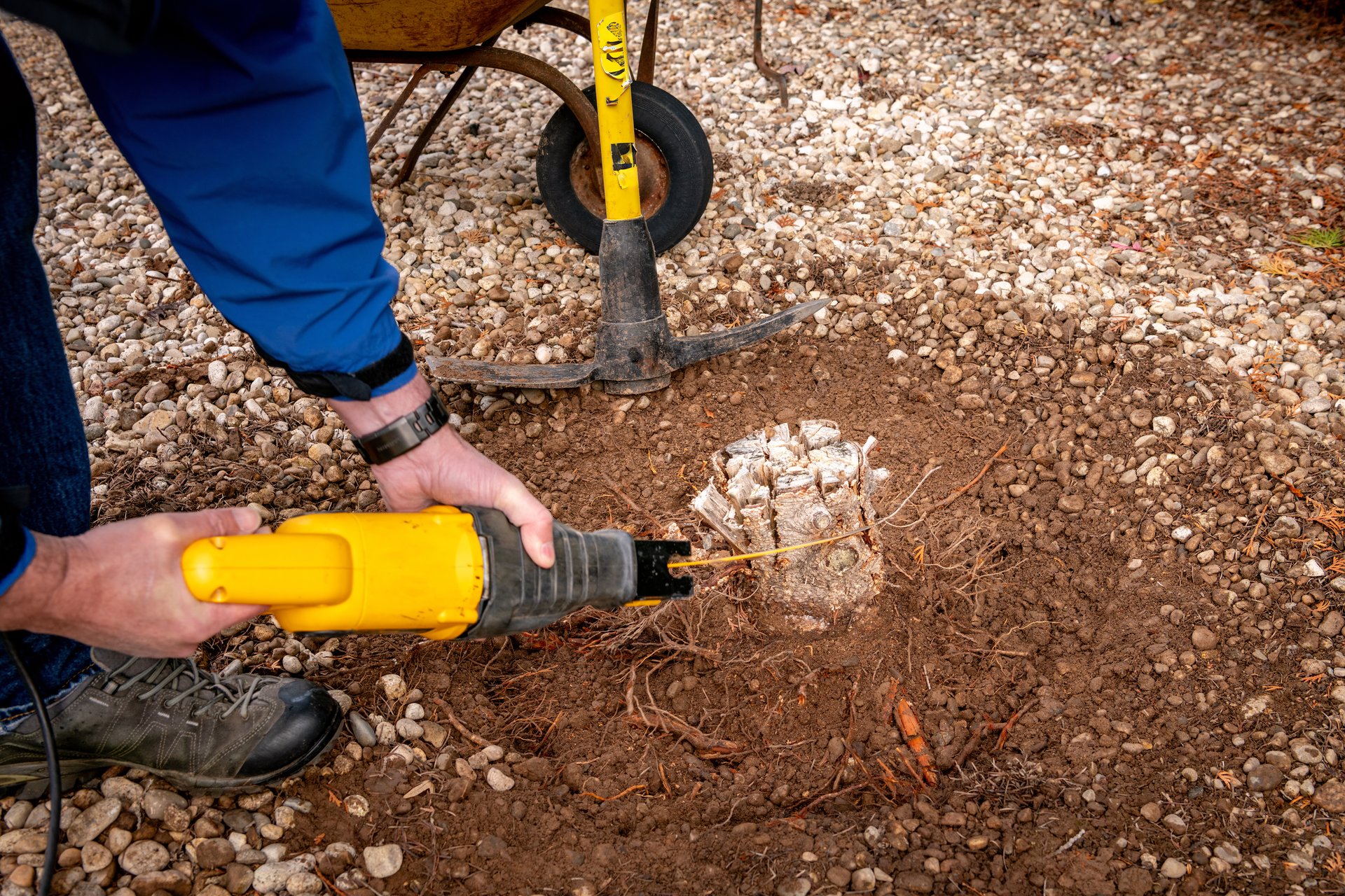 Cutting tree stump