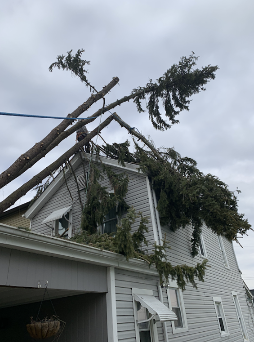 Emergency Tree Service