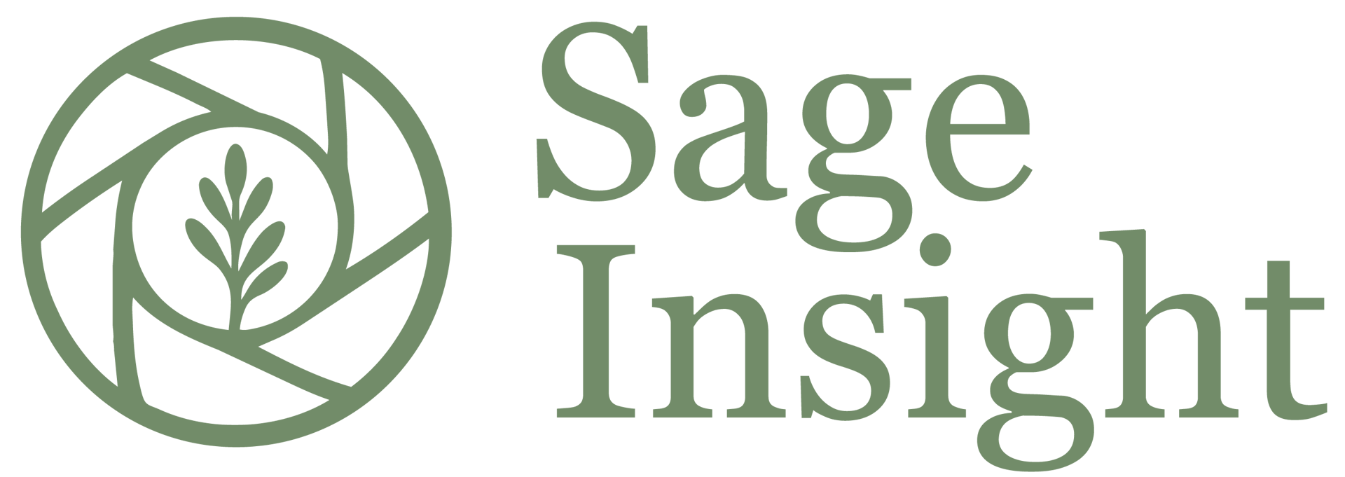 Sage Insight LLC