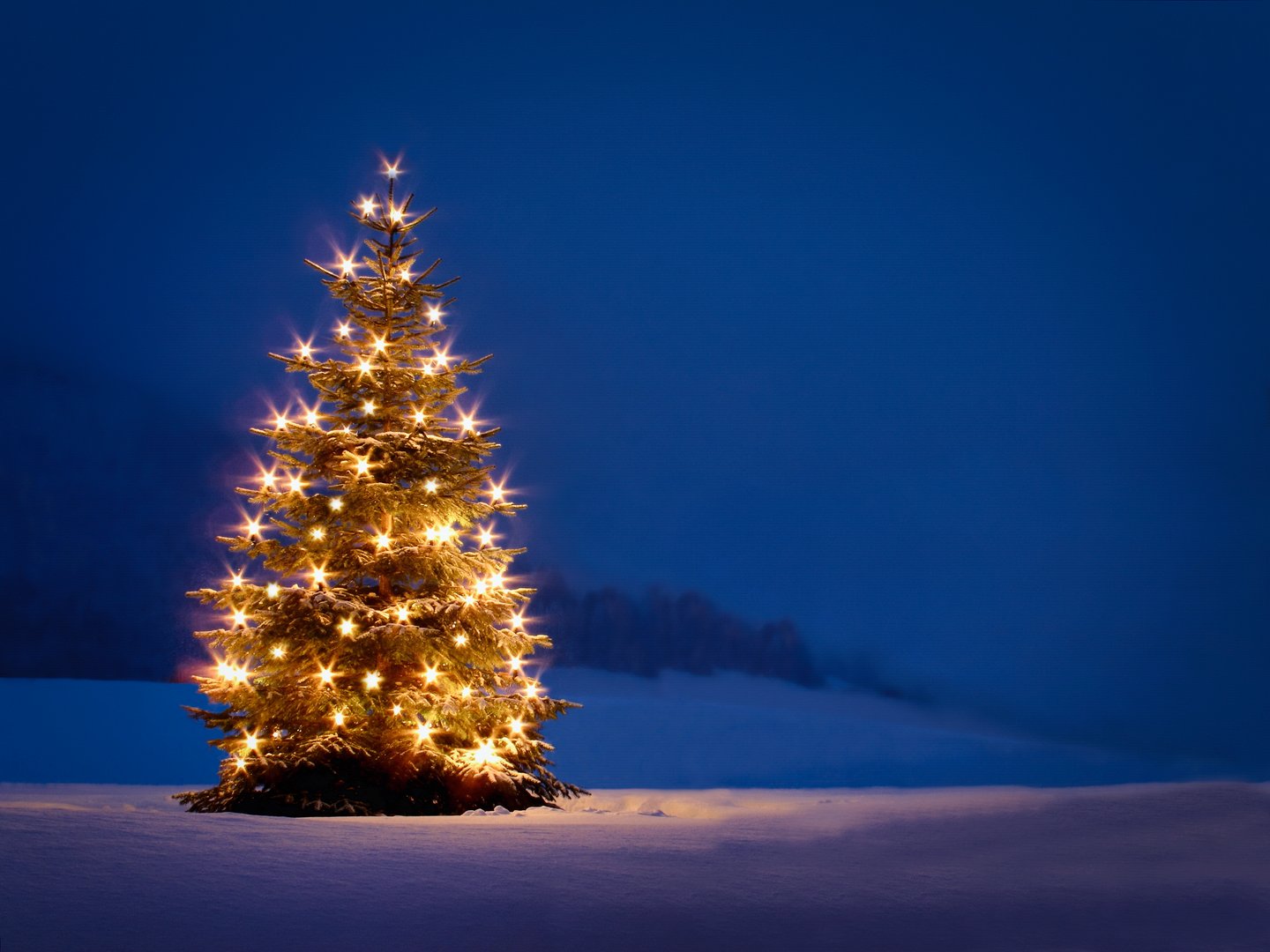 Christmastree on a meadow illuminatet by candles. outdoors in snow, romantic twilight