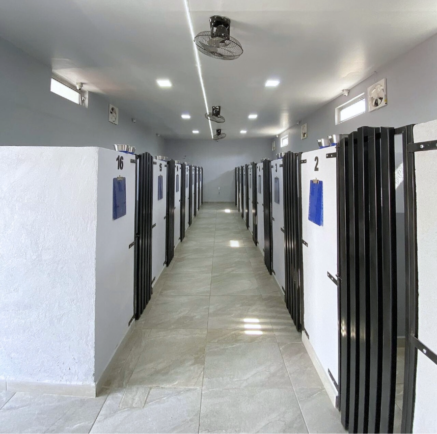 Limpieza Profesional - Huellitas Resort