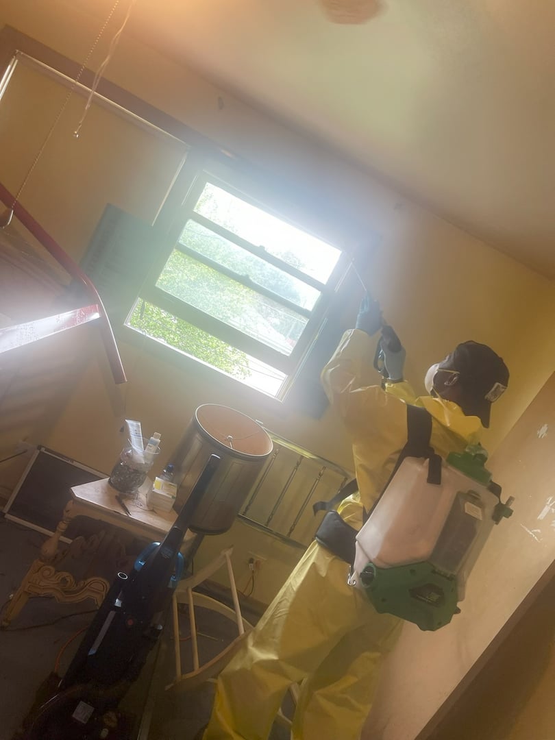 Residential pest control spraying service