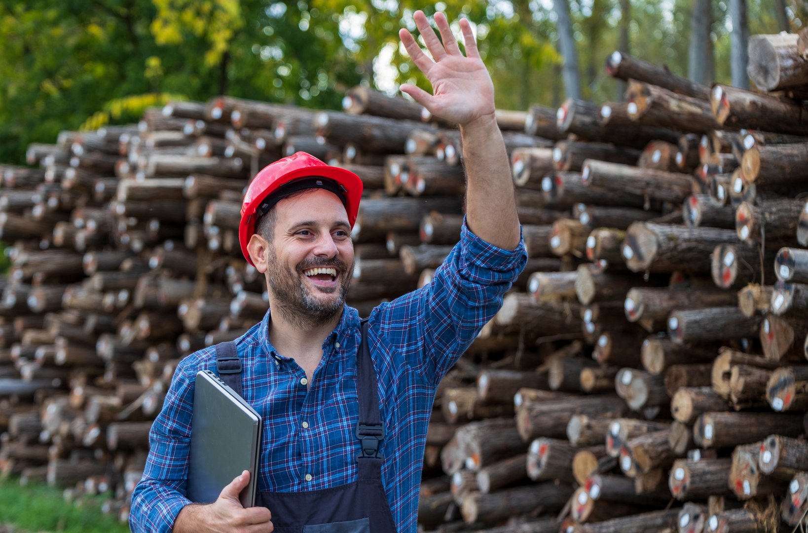 Handsome man forestry engineer waving hand and greeting someone in front of tree trunks stacked in forest