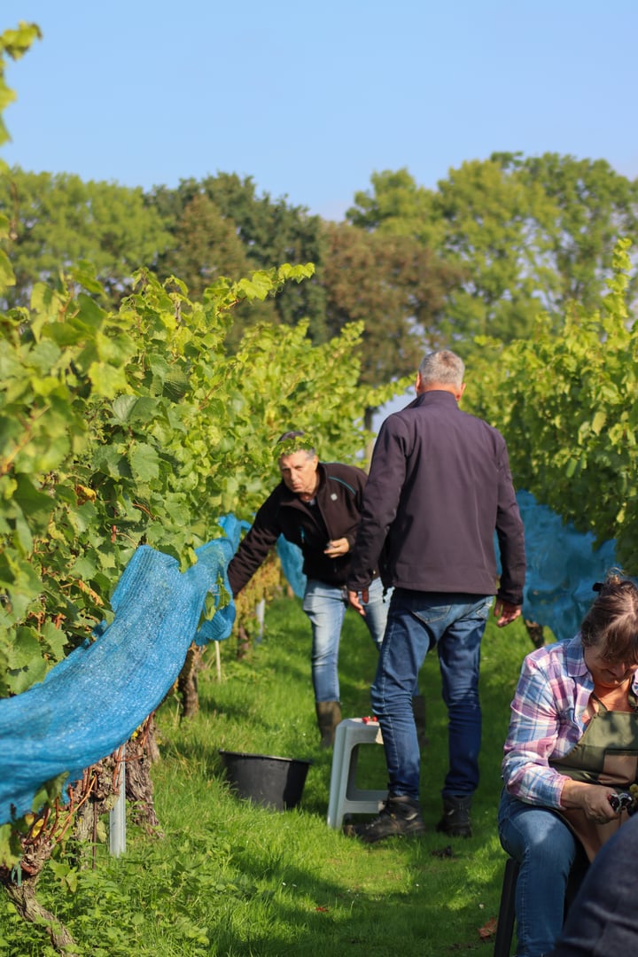 Belle Source Wijnproeverij