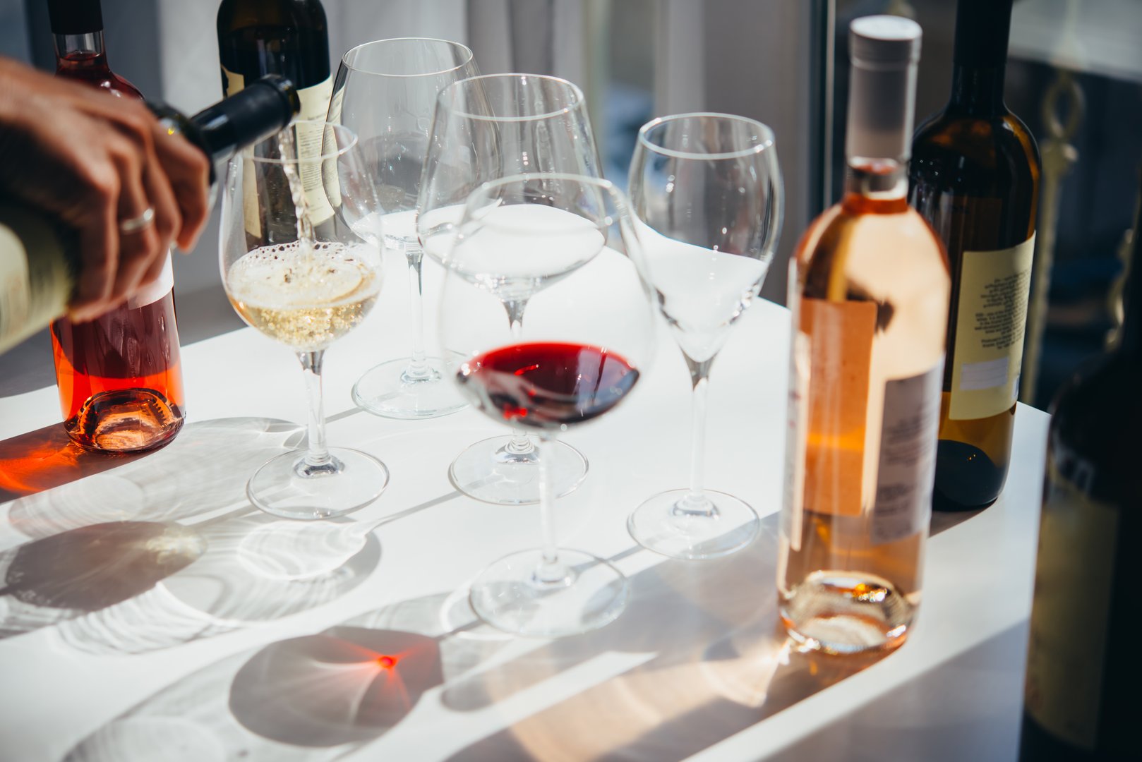 Different types of wine in glasses - red, white, rose and amber. Wine tasting in a bar or restaurant.