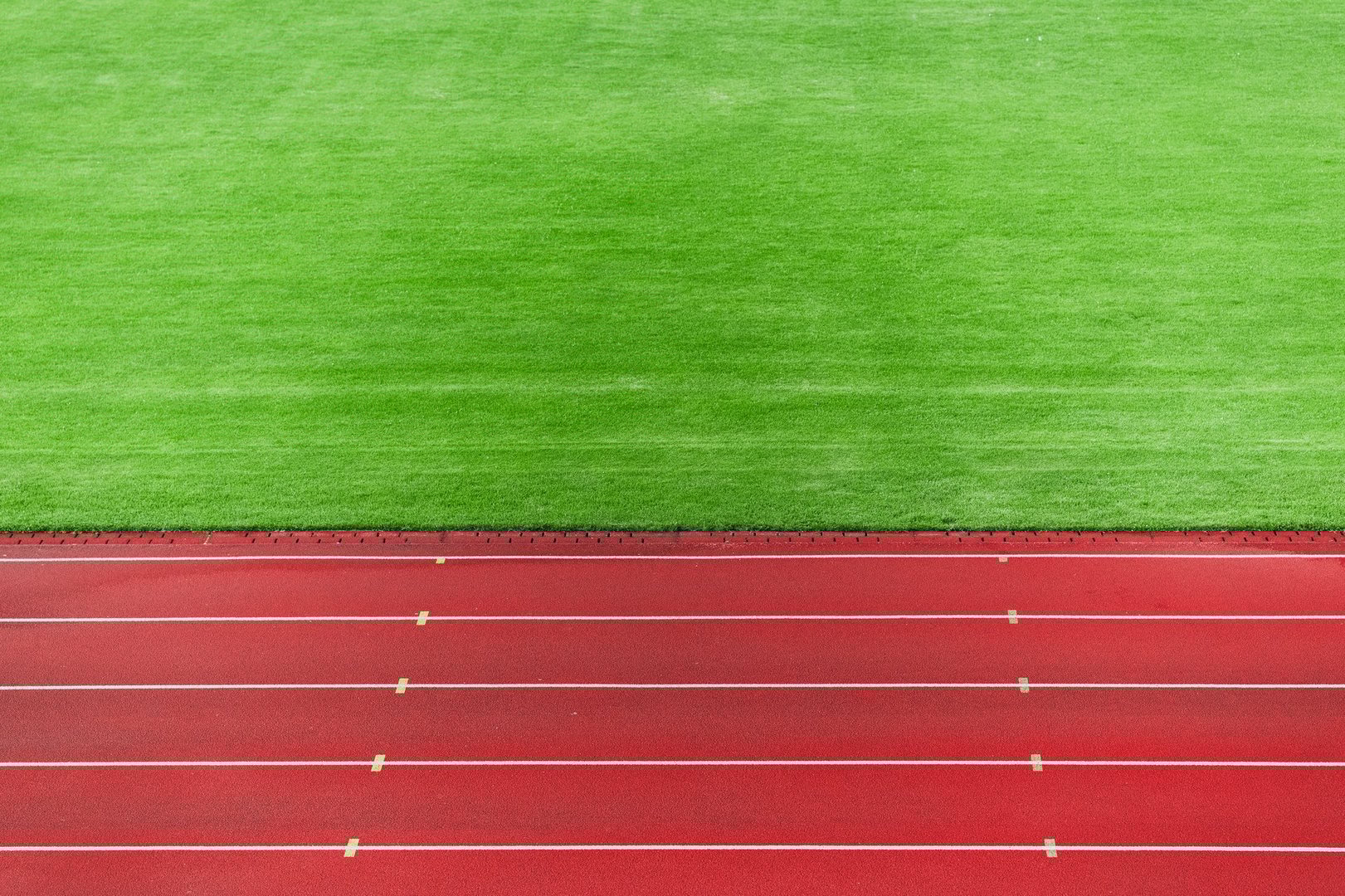 sport occupation place soccer field green grass and athletic running track cover symmetry simple background advertising pattern with empty copy