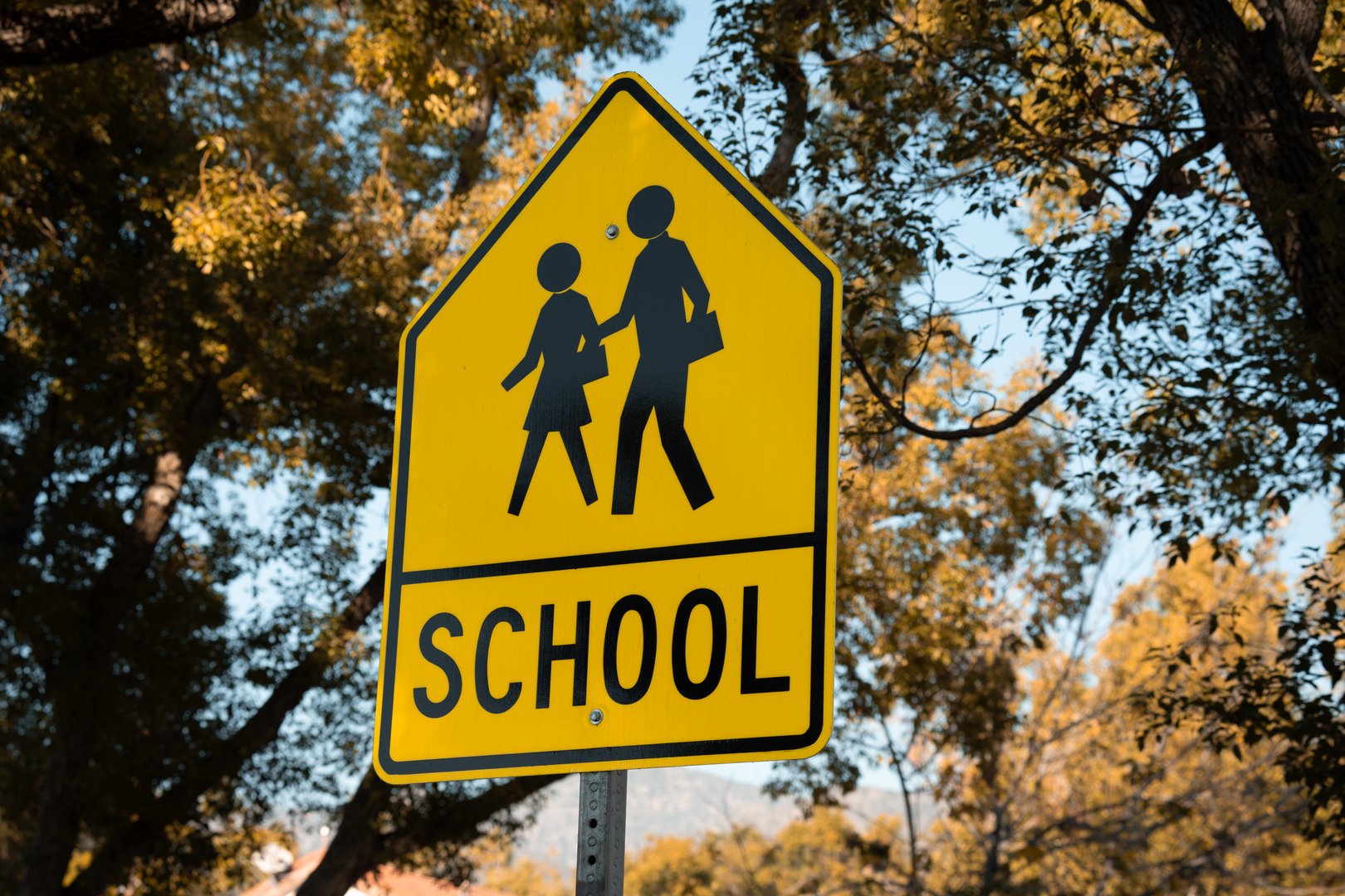 A bright yellow school crossing sign featuring black silhouettes of two children walking, set against a backdrop of autumn trees and a clear blue sky