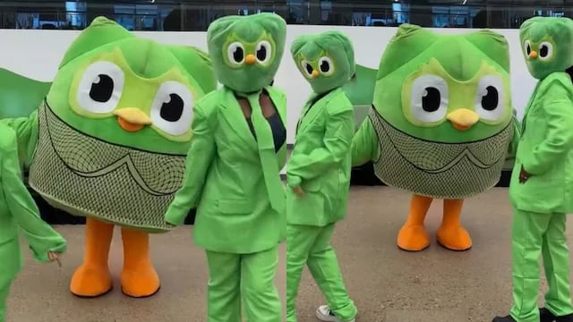company-mascot-duolingo-owl | Iterators company mascot duolingo owl