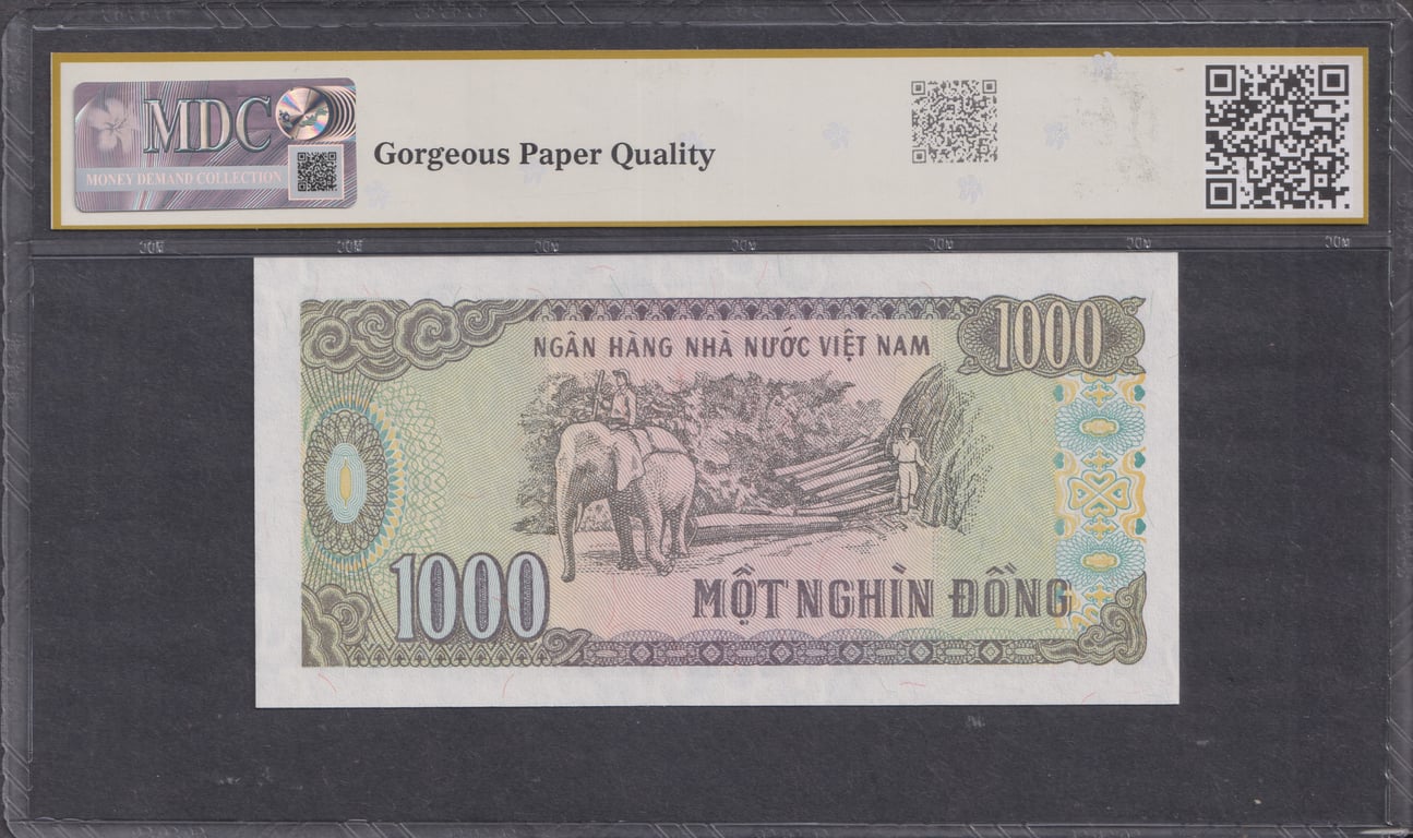 553_2.jpg