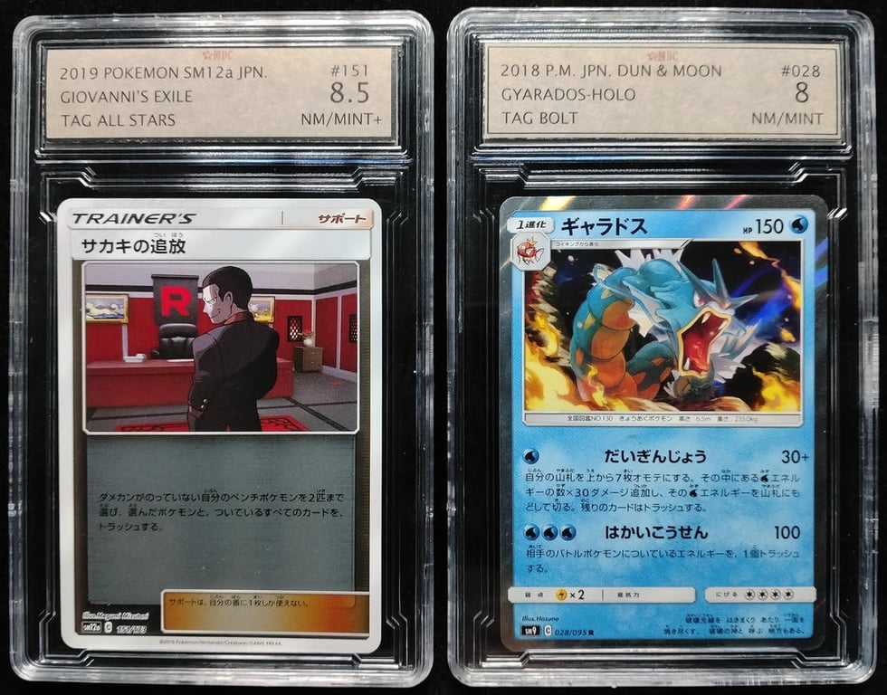 2pcs Lot: Pokemon. 2019 / 2018 | Giovanni's Exile / Gyarados - Holo | MDC 8.5 NM Mint+ / 8 NM Mint | Serial : 151/173 & 028/095 R |