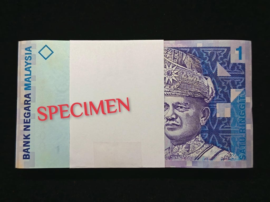 Malaysia，11th Series 2000，1 Ringgit，AV 1769401 - 500，100 pcs, UNC, Foxing