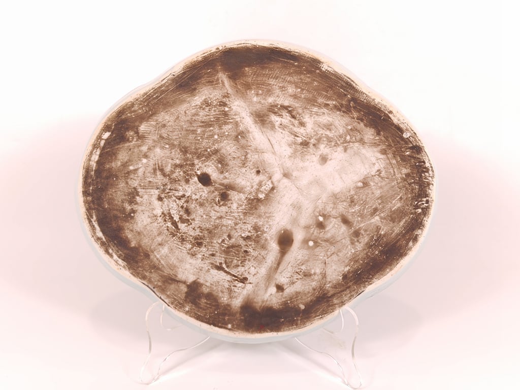 96_2.jpg