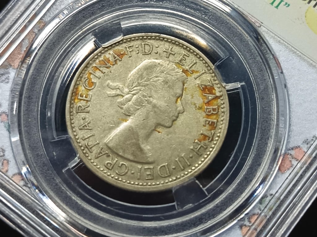 IMG_20260904_000013.jpg