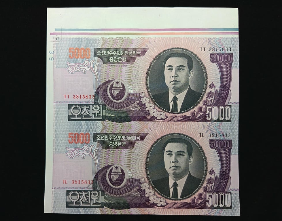 North Korea，2002 - 2006，5000 Won，3815833，UNC，1 Qty 