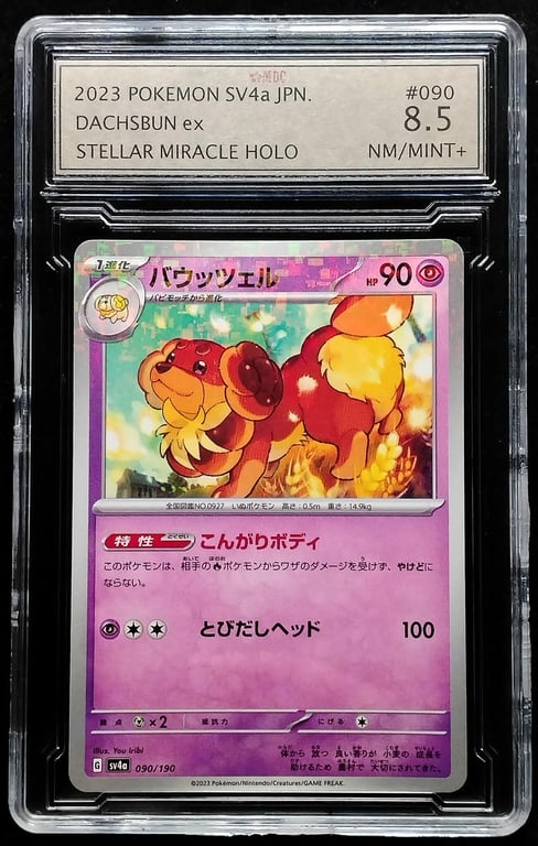 Pokemon. Dachsbun ex. 2023. 090/190. MDC 8.5 NM Mint+