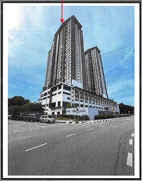 14. LIEW SIN HAUR.jpeg